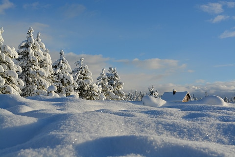 a snow covered landscape