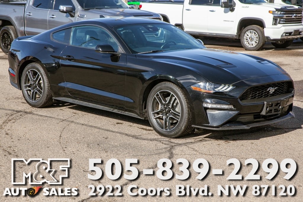 2023 Ford Mustang EcoBoost Premium's photo