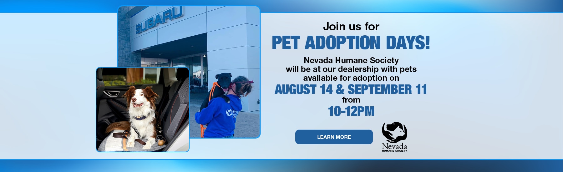 Michael Hohl Subaru New & Used Subaru Cars Carson City Nevada Subaru