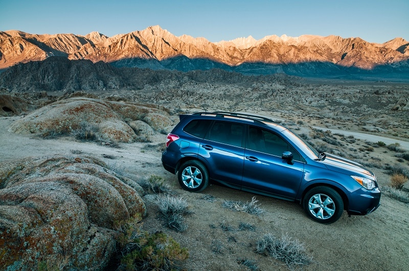 Michael Hohl Subaru >> 2014 Subaru Forester is Motor Trends SUV of the Year l ... Michael Hohl Subaru >> 2014 Subaru Forester is Motor Trends SUV of the Year l ...