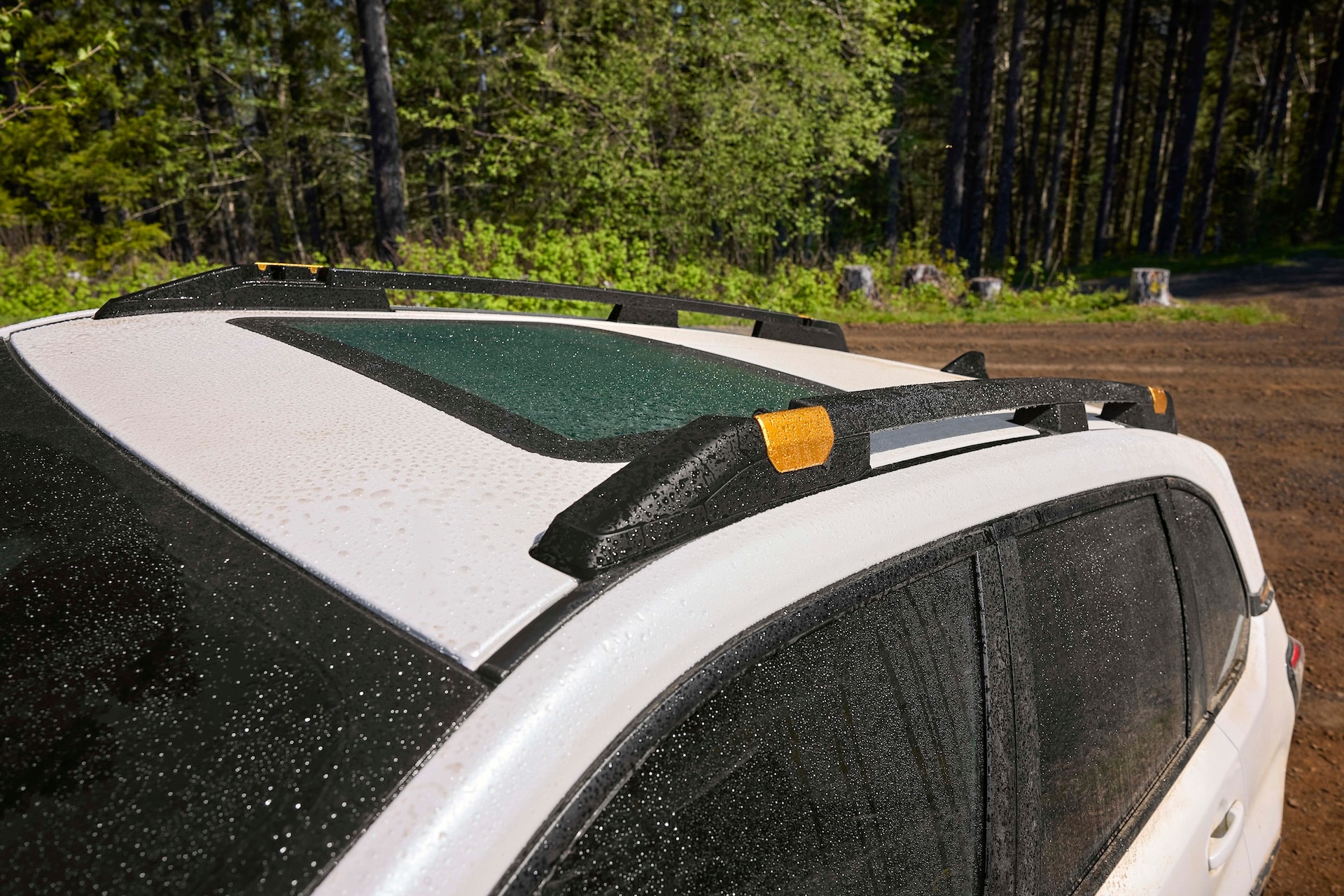 2026_Subaru_Forester_Wilderness_roof_racks.jpg