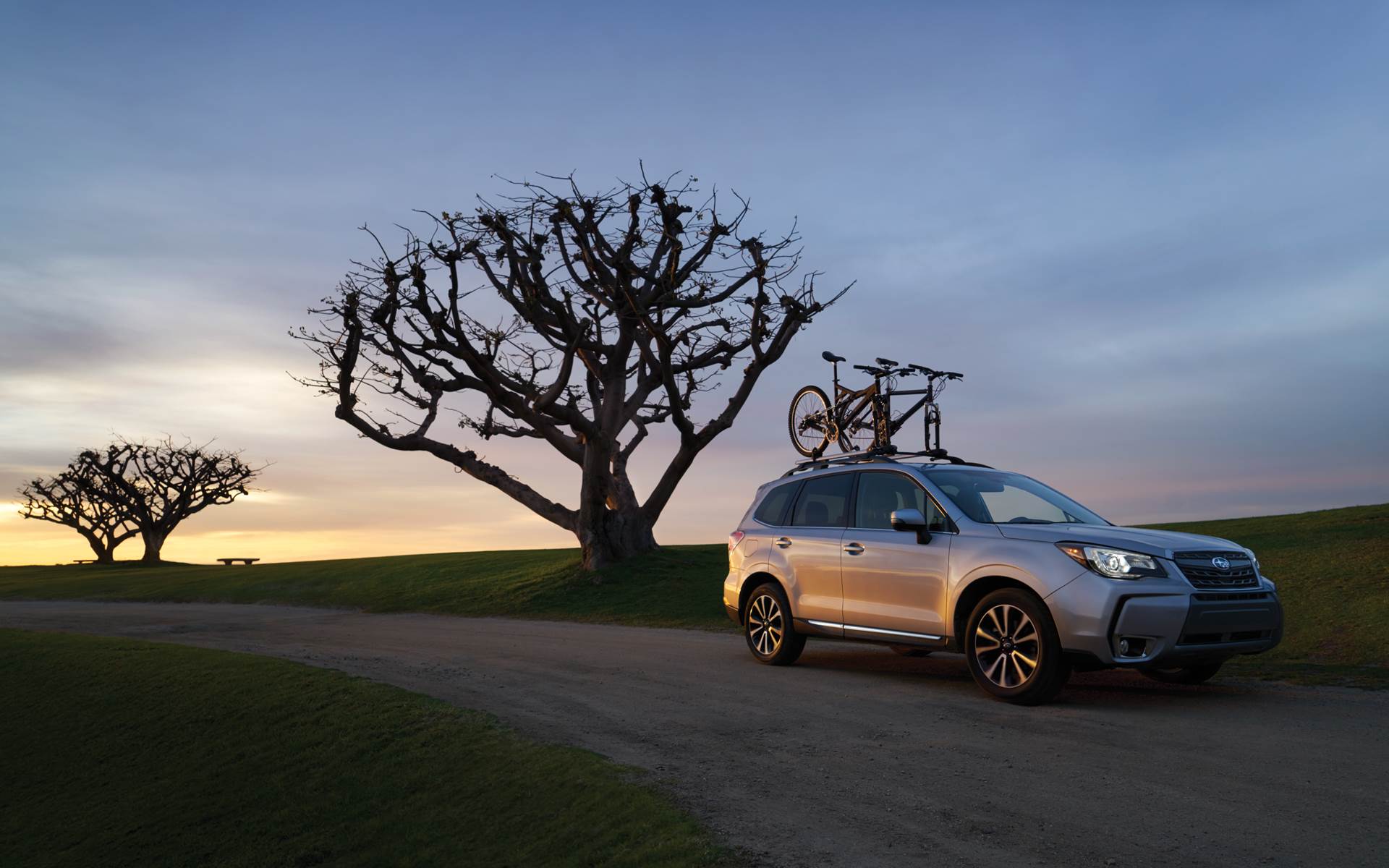 2018forester.jpg