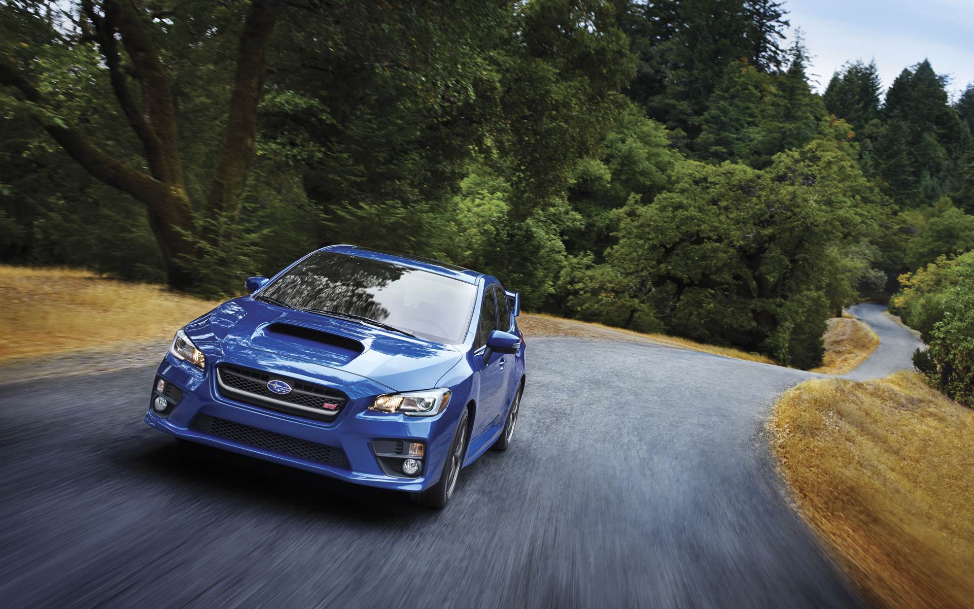 New 2017 Subaru WRX STI for Sale in Reno