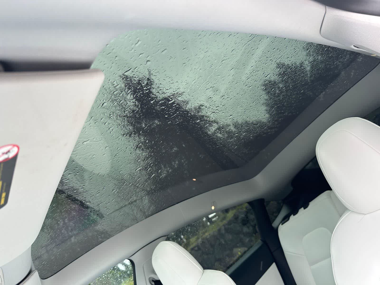 Thumbnail: 2021 Tesla Model Y - 14