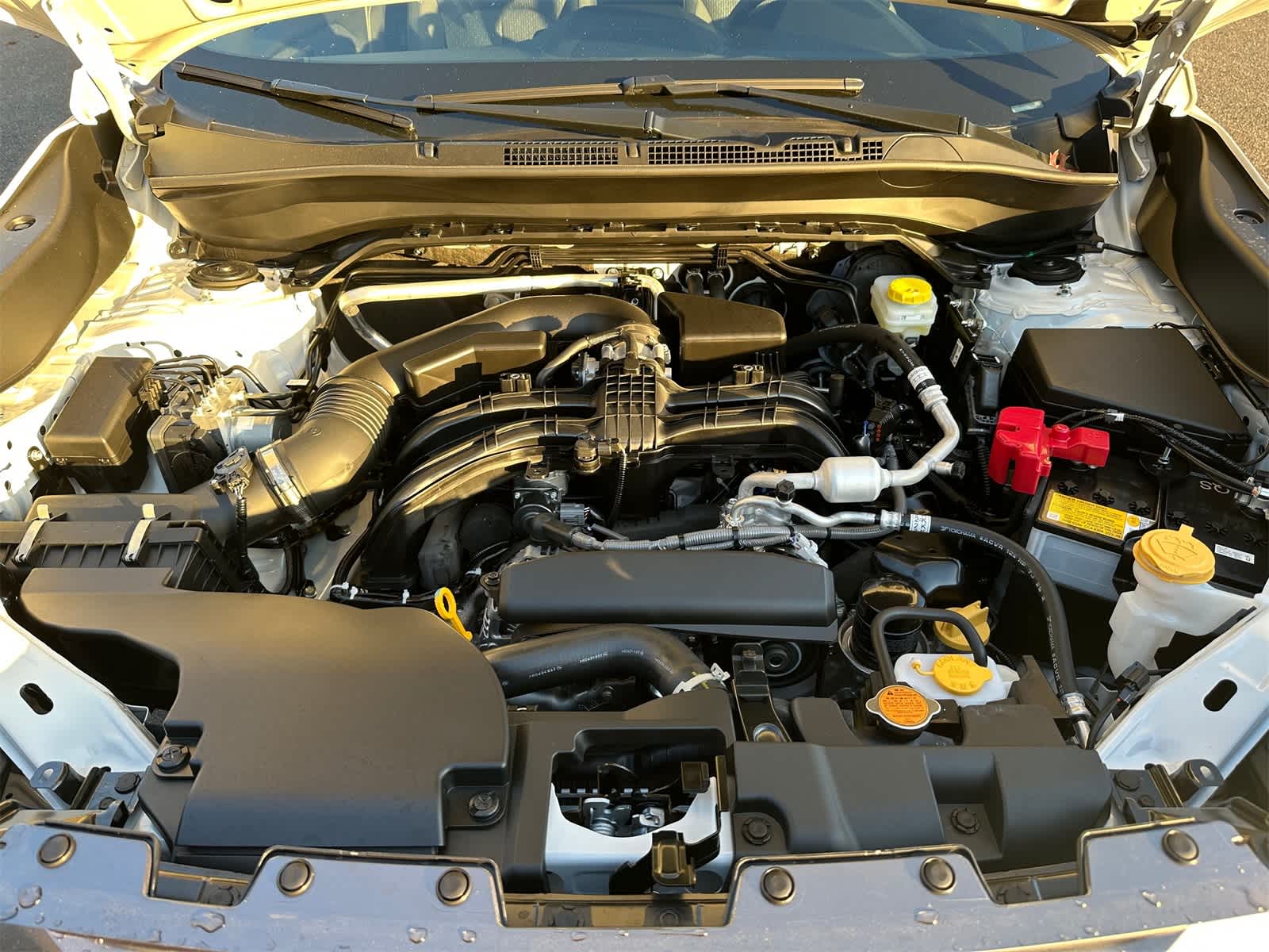 Thumbnail: 2025 Subaru Forester - 7