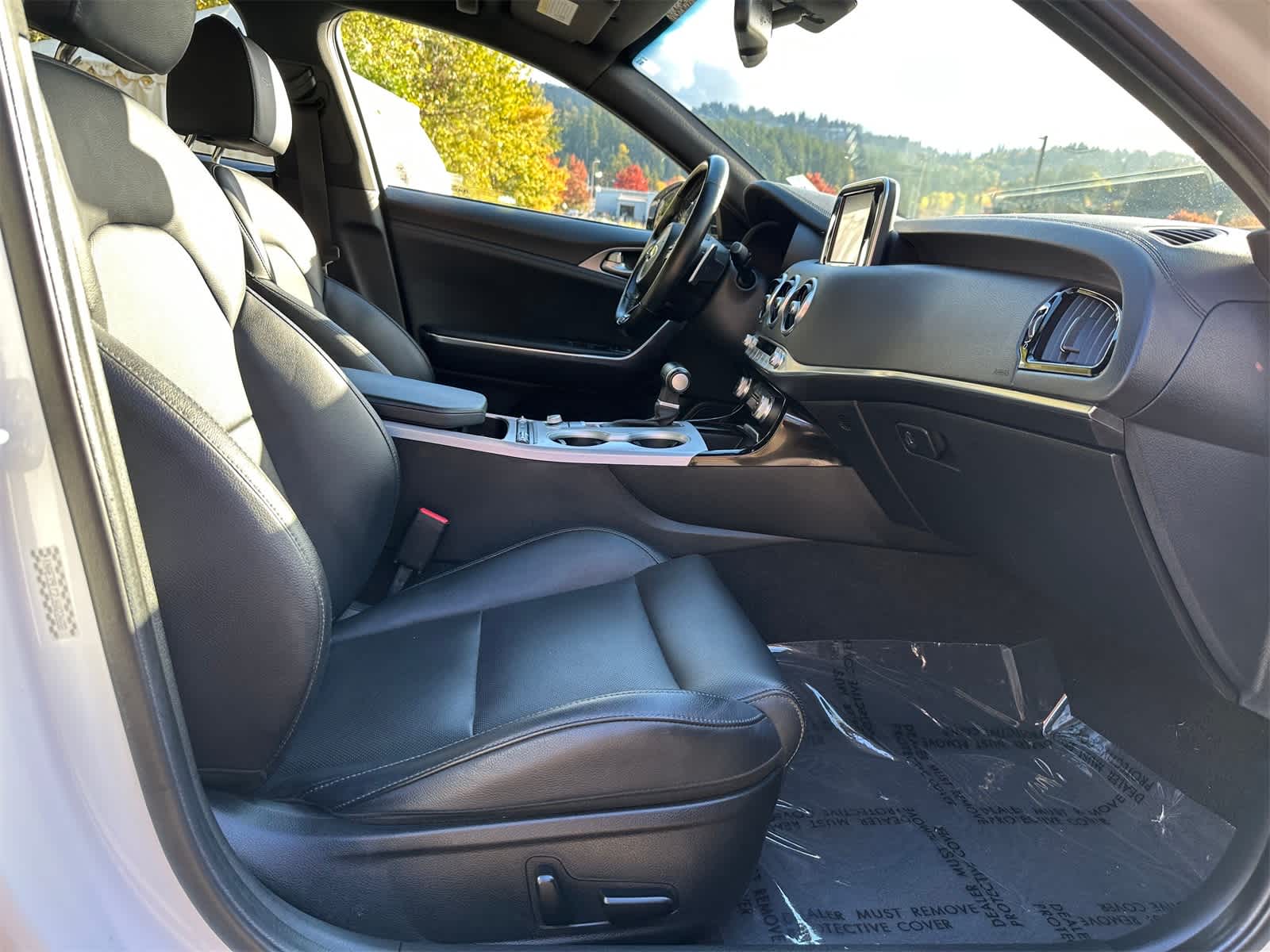 Thumbnail: 2018 Kia Stinger - 13