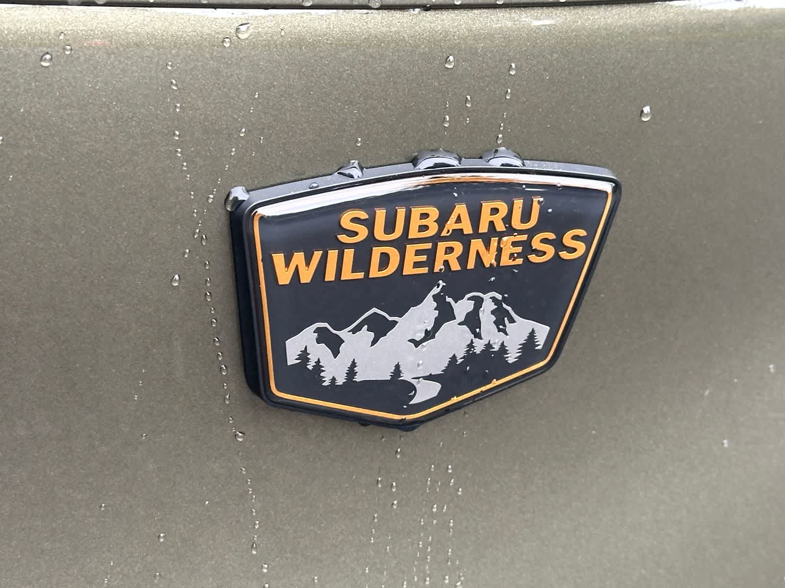 2026 Subaru Forester Wilderness - Photo 6
