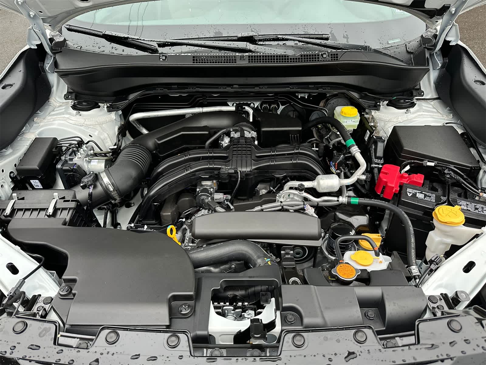 Thumbnail: 2026 Subaru Forester - 7