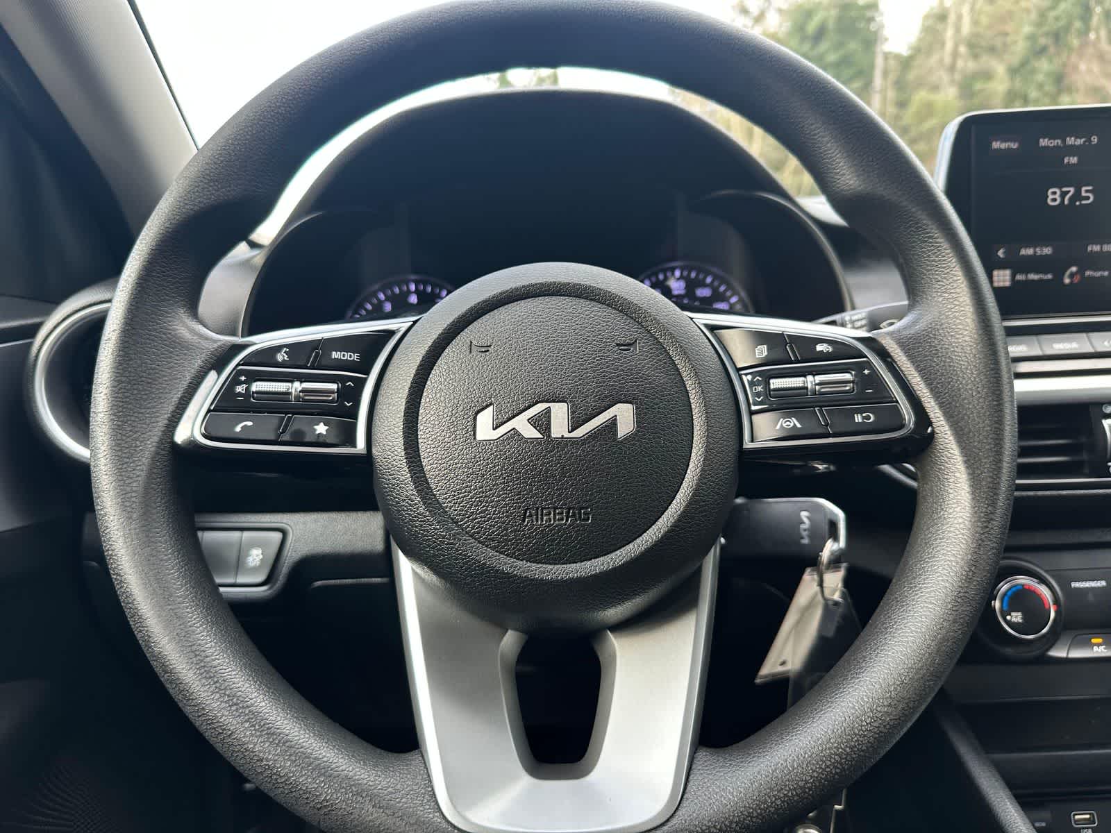 Thumbnail: 2022 Kia Forte - 14