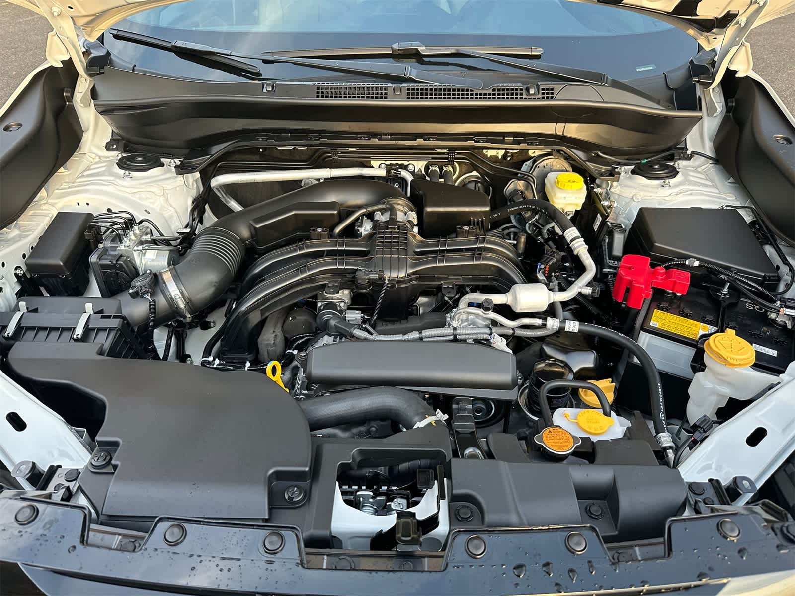 Thumbnail: 2025 Subaru Forester - 7