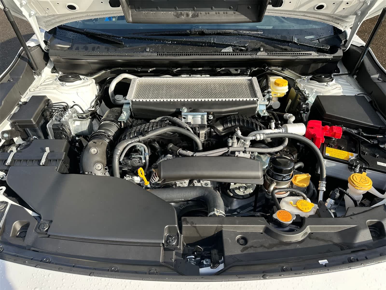 Thumbnail: 2025 Subaru WRX - 7