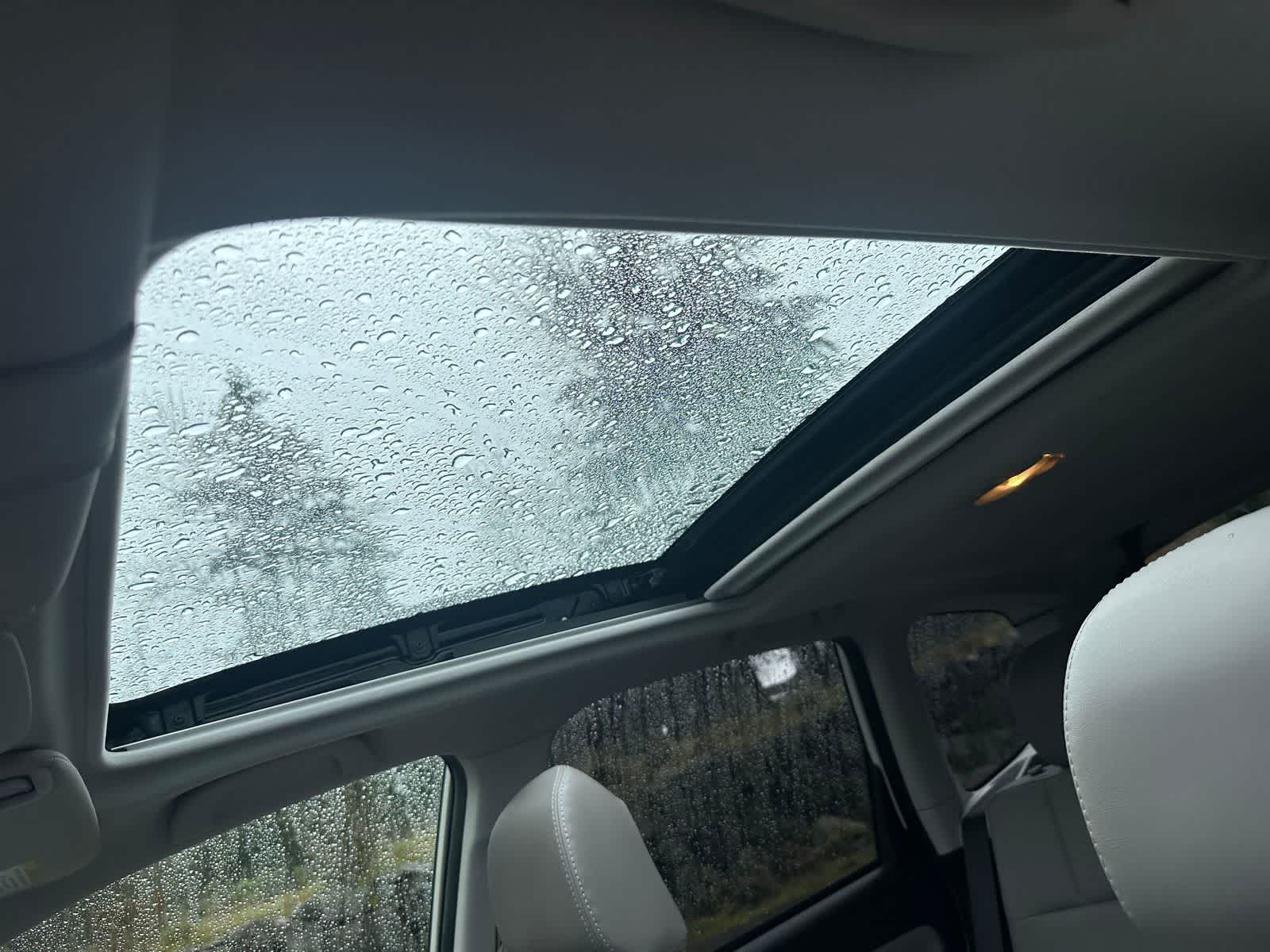 Thumbnail: 2014 Subaru Forester - 15