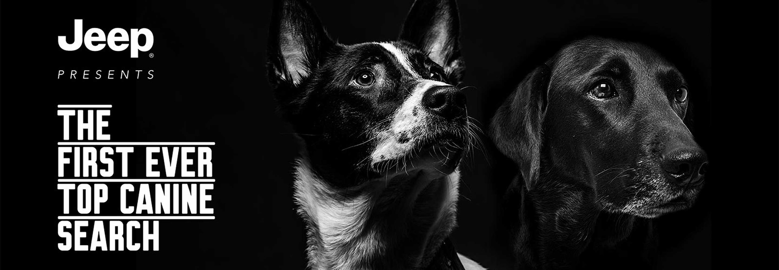 Vote for The Top Dog in Jeep Contest