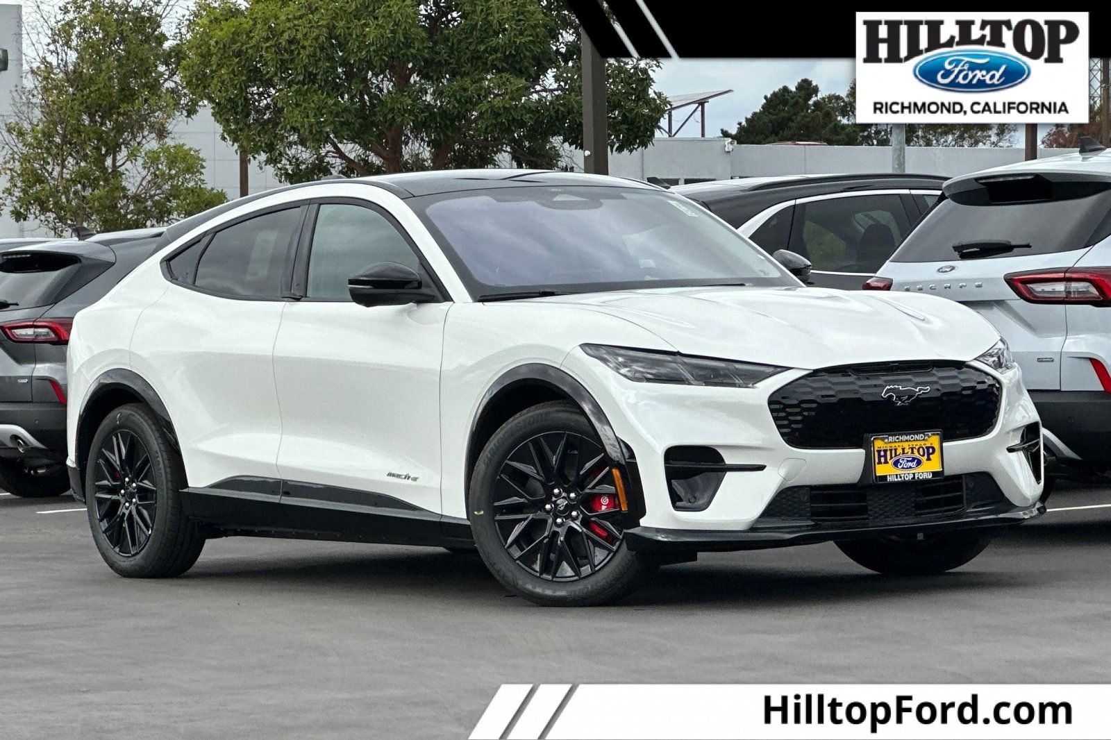 2025 Ford Mustang Mach-E Premium RWD's photo