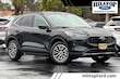 Ford Escape Plug-In Hybrid