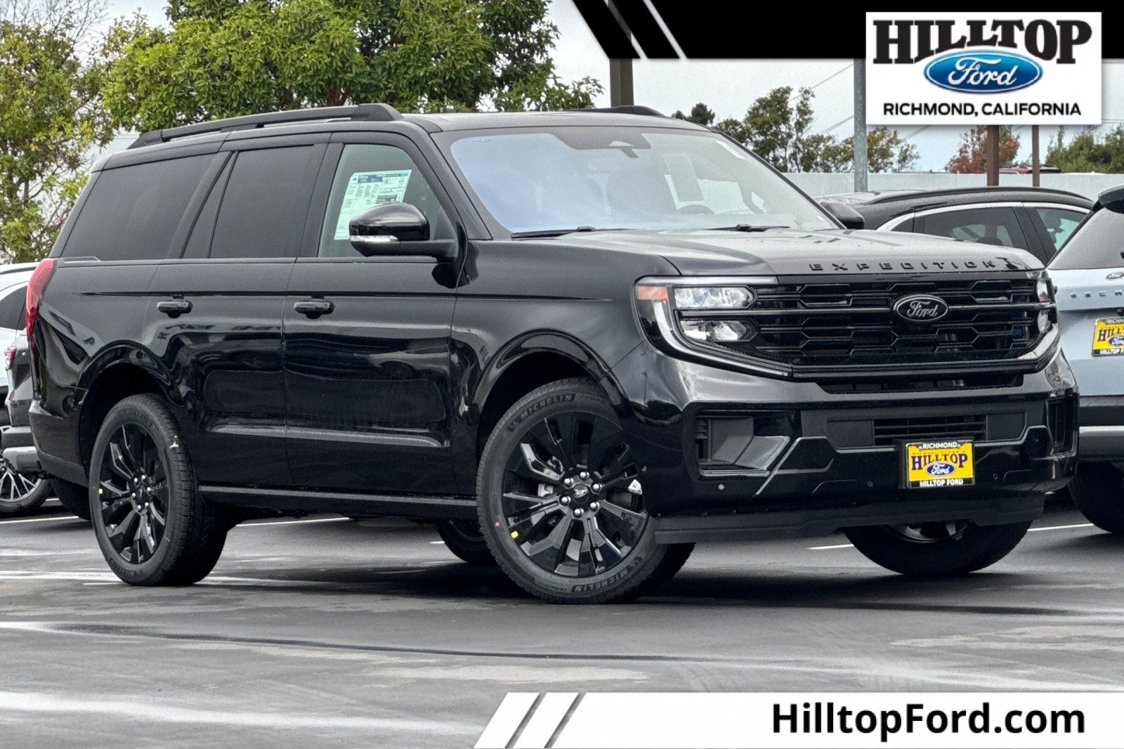 2025 Ford Expedition Platinum's photo