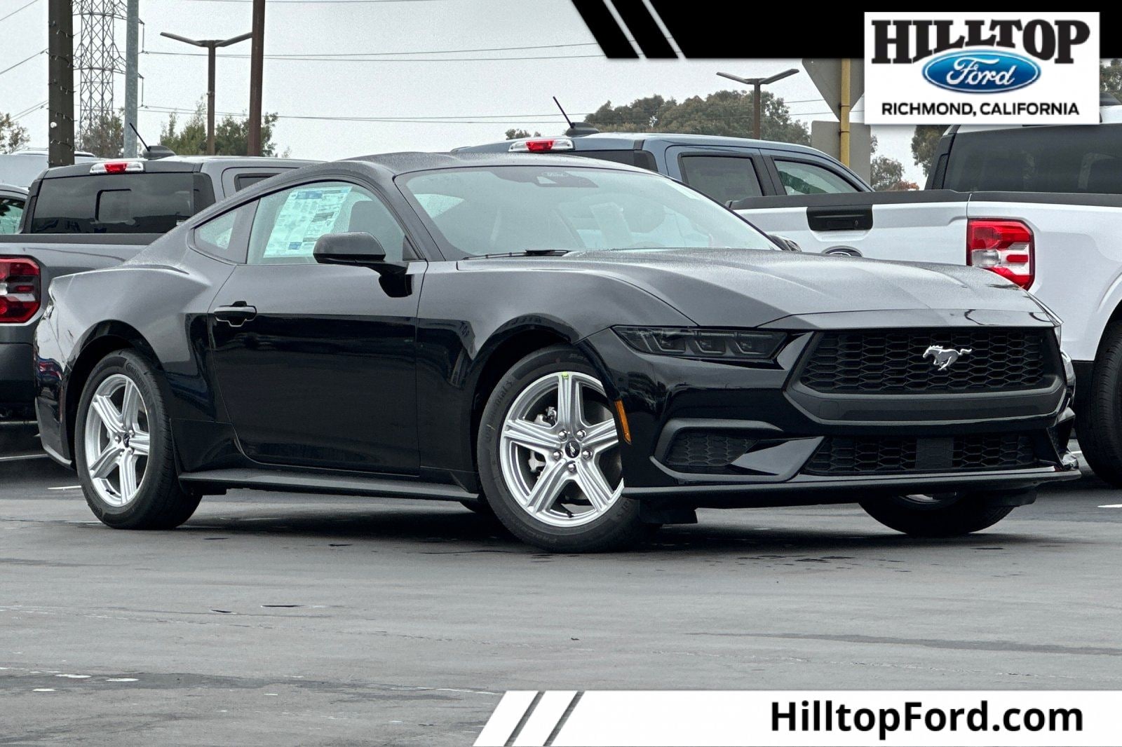 2026 Ford Mustang EcoBoost's photo