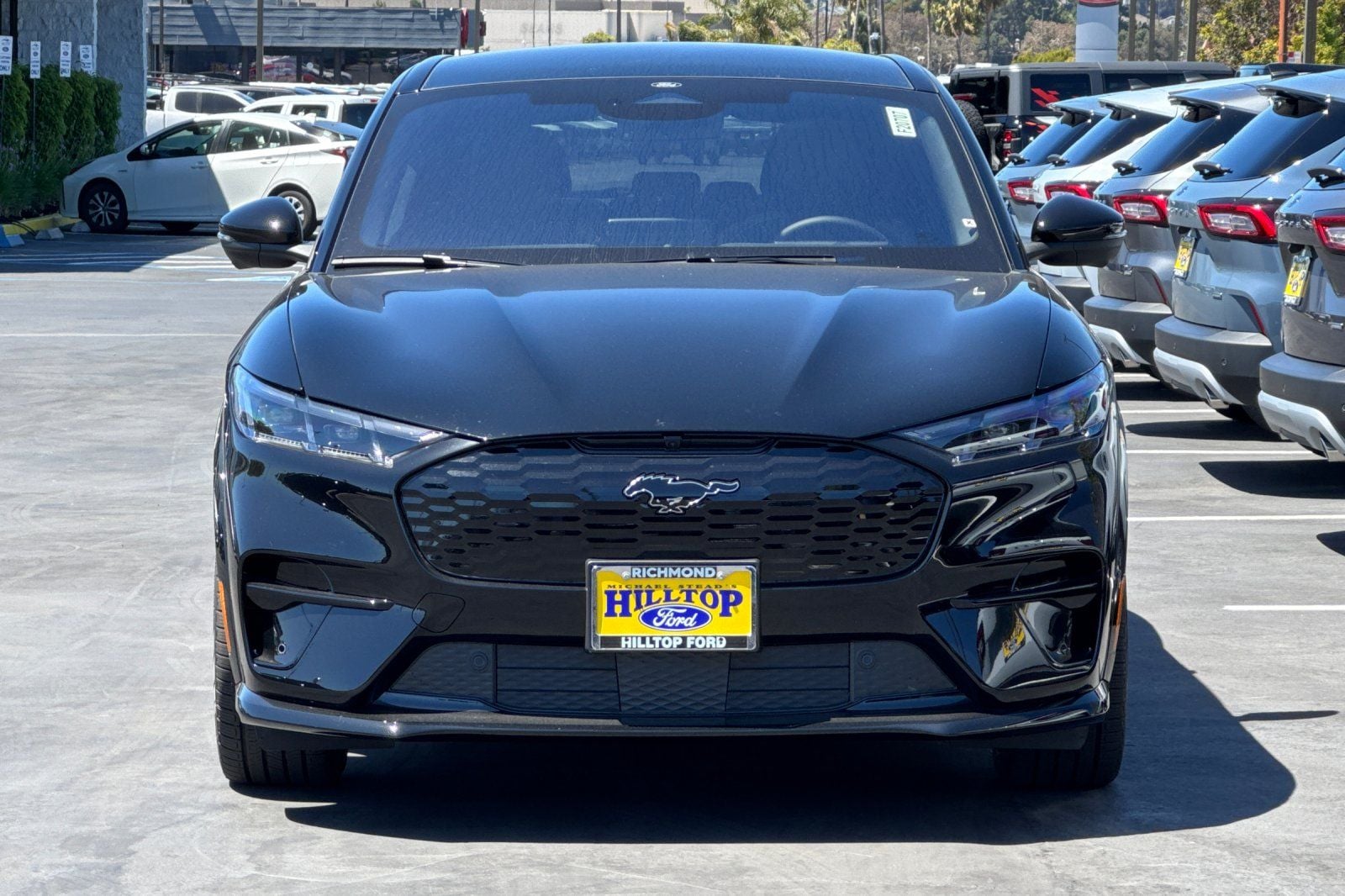 2025 Ford Mustang Mach-E GT - Photo 9