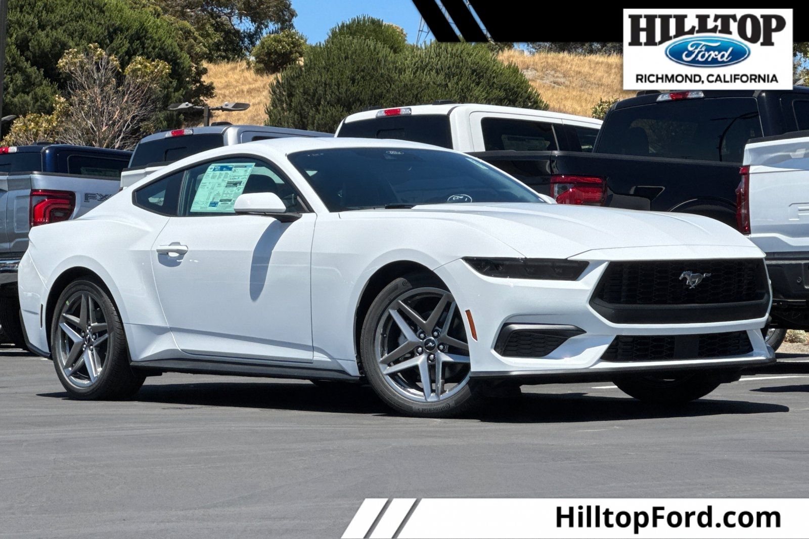 2025 Ford Mustang EcoBoost's photo