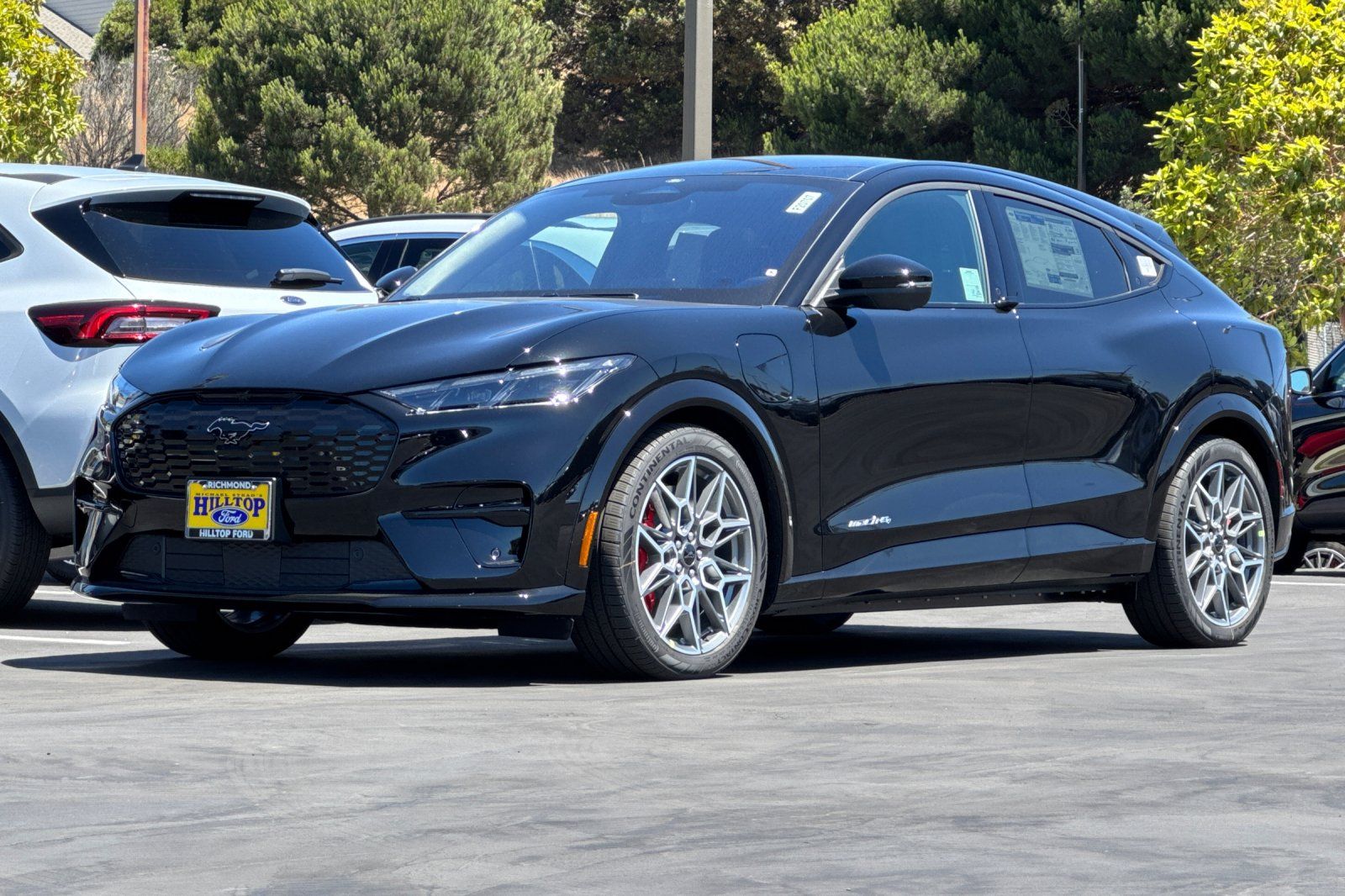 2025 Ford Mustang Mach-E GT - Photo 8