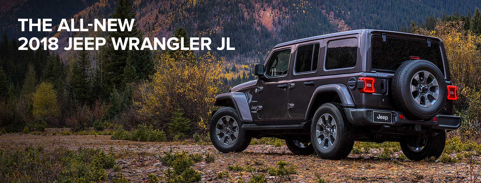 black wrangler jk