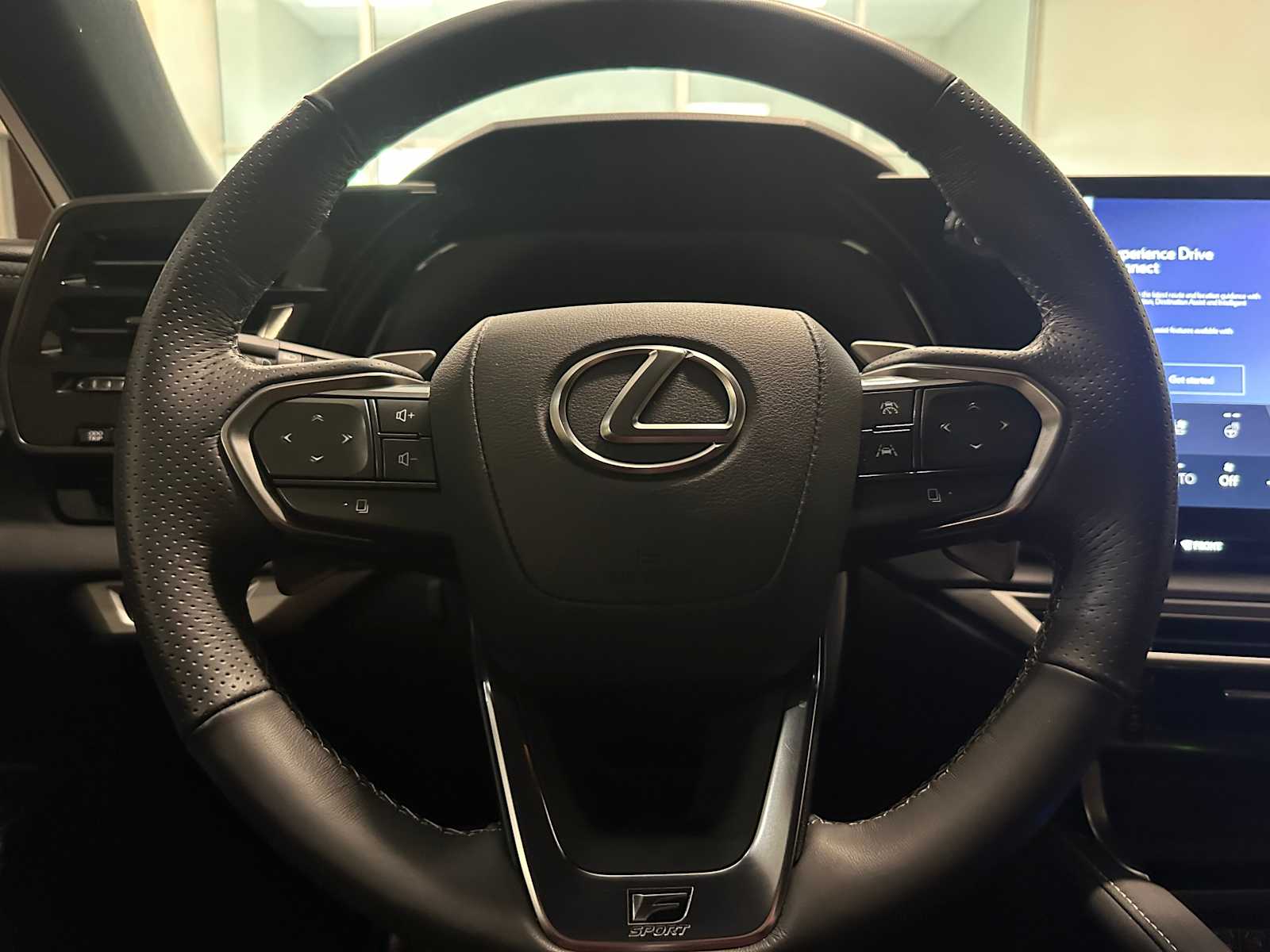 Thumbnail: 2024 Lexus RX - 10