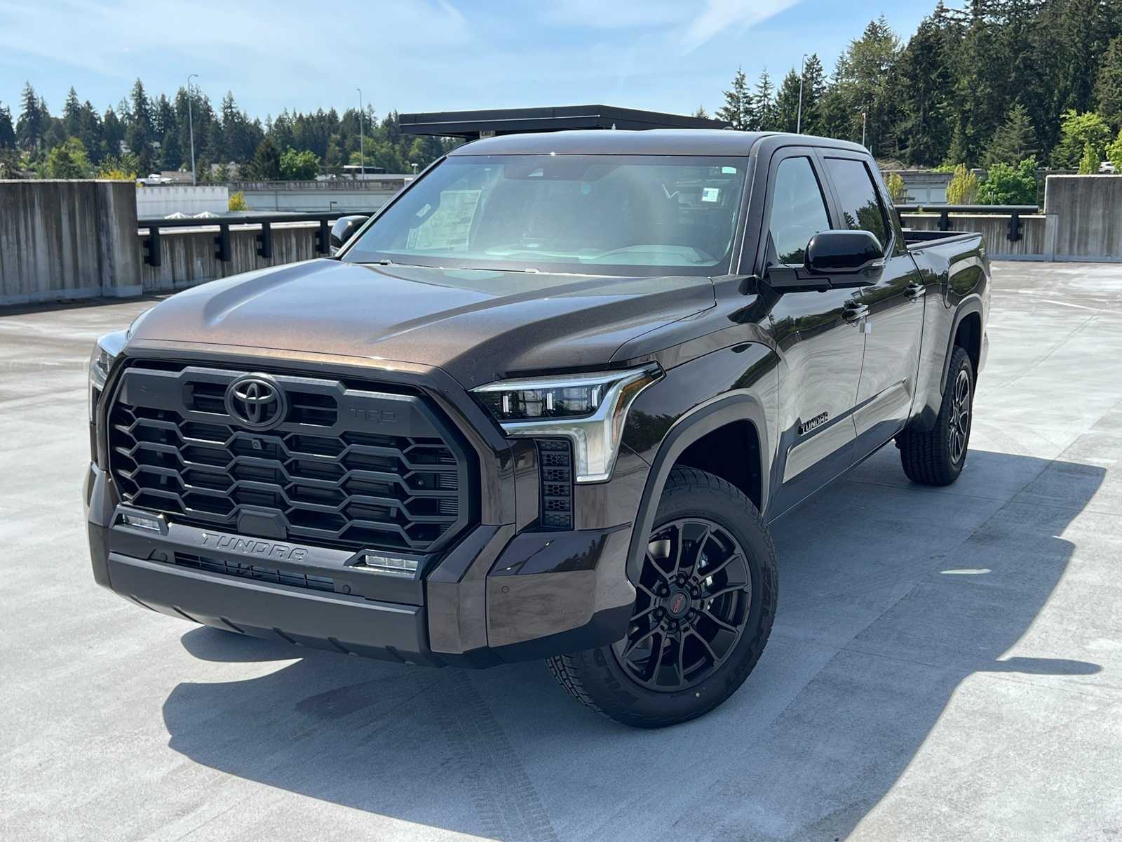 2025 Toyota Tundra Limited -
                  Bellevue, WA