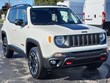  Jeep Renegade Trailh