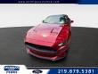 Used 2020 Ford Mustang EcoBoost EcoBoost Fastback