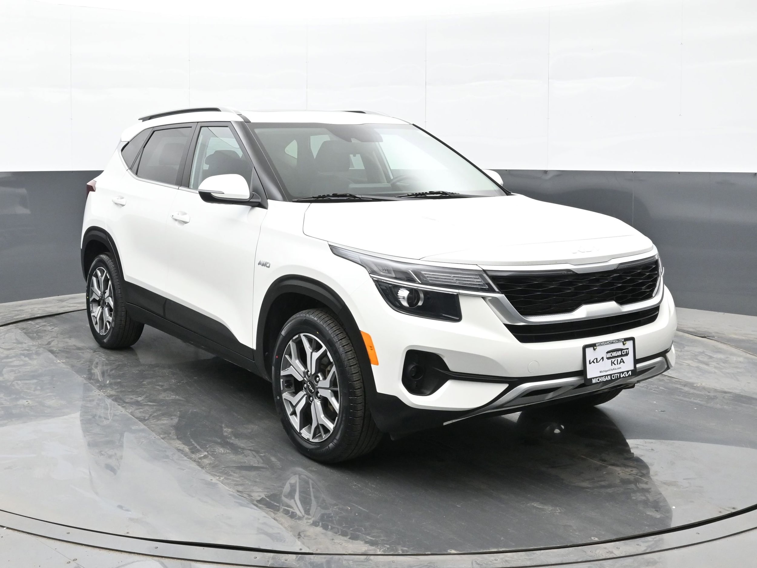 Certified 2022 Kia Seltos EX with VIN KNDERCAA0N7334127 for sale in Michigan City, IN