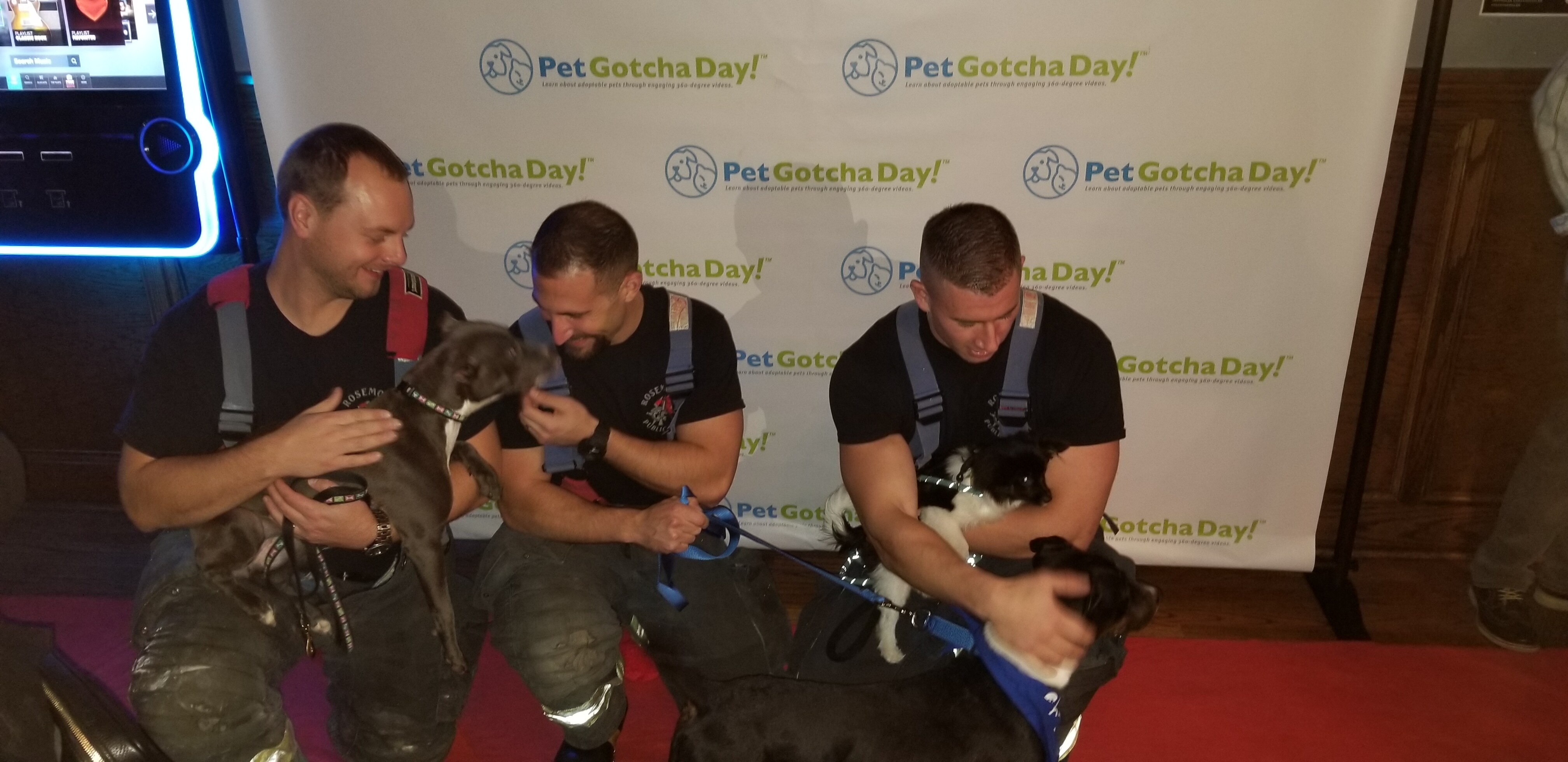 Pet Gotcha Day Runway Event
