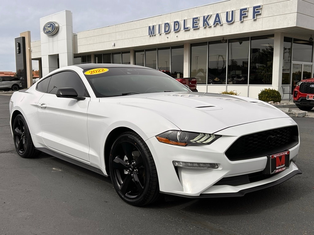 2022 Ford Mustang Coupe 