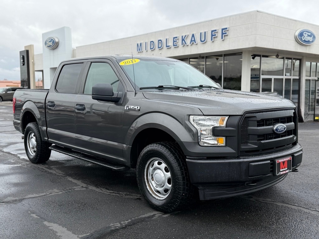 2017 Ford F-150 XL's photo