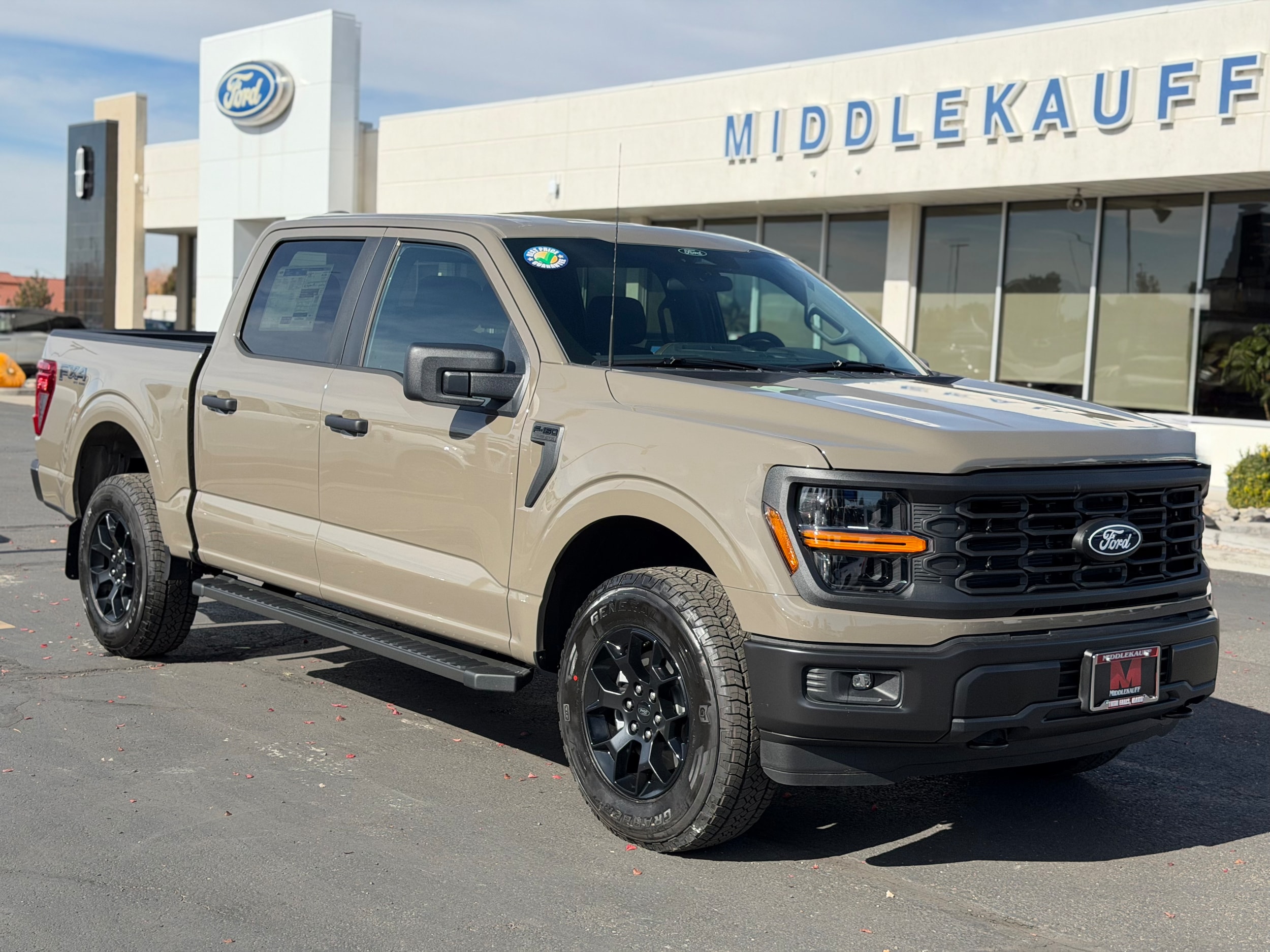 2025 Ford F-150 STX's photo