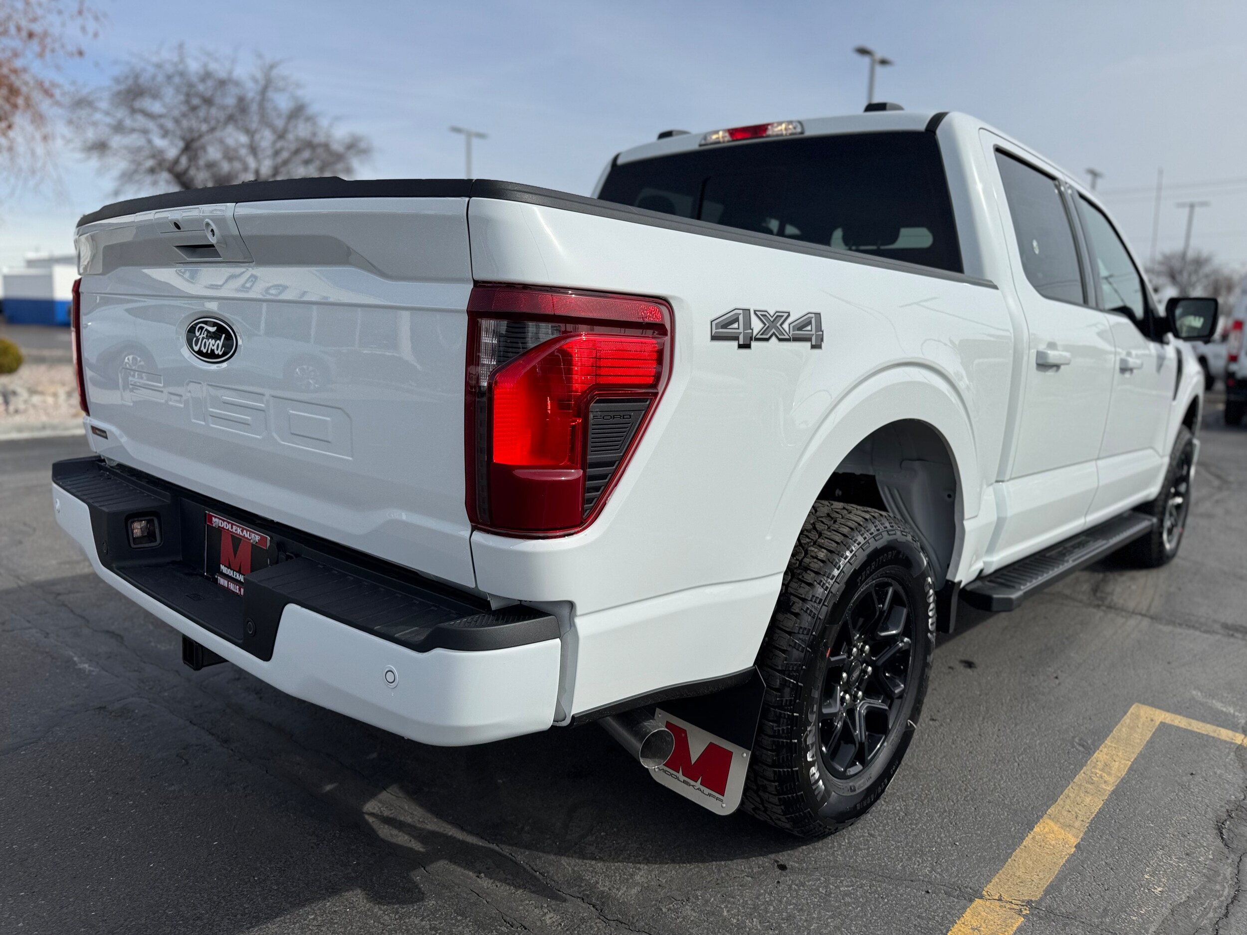 2025 Ford F-150 XLT photo 4