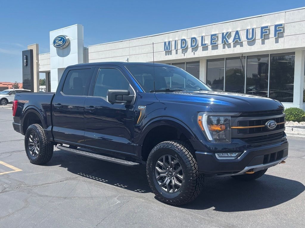 Used 2023 Ford F-150 Crew Cab Truck