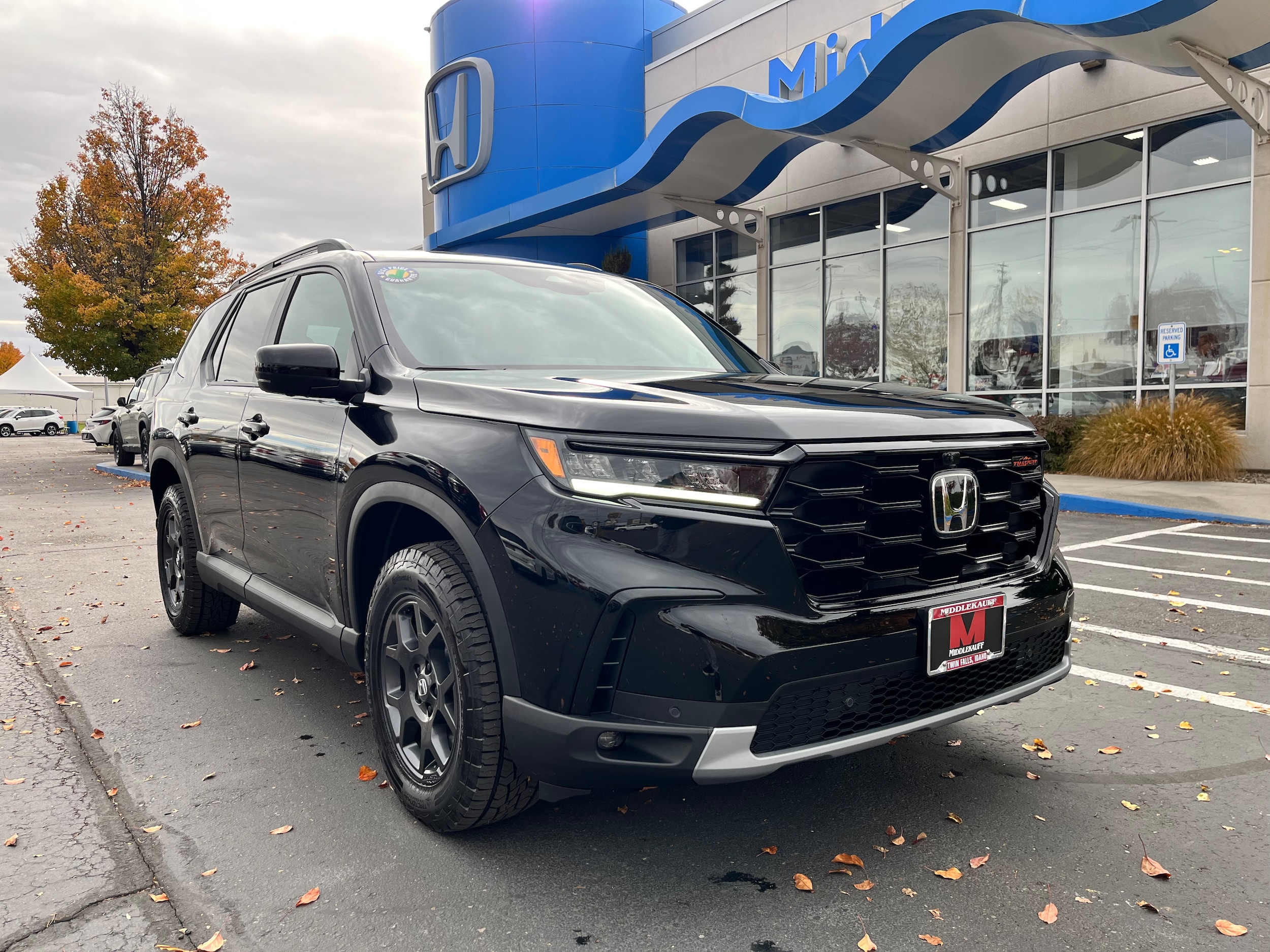 2025 Honda Pilot TrailSport's photo