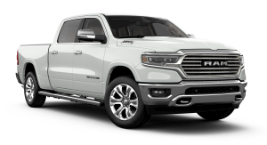 laramie longhorn image