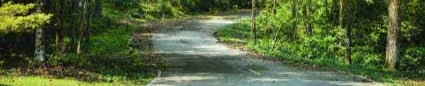 Green_Up_Day_Vermont_A-425x87.jpg A great looking road after getting cleaned up during Green Up Day in Vermont