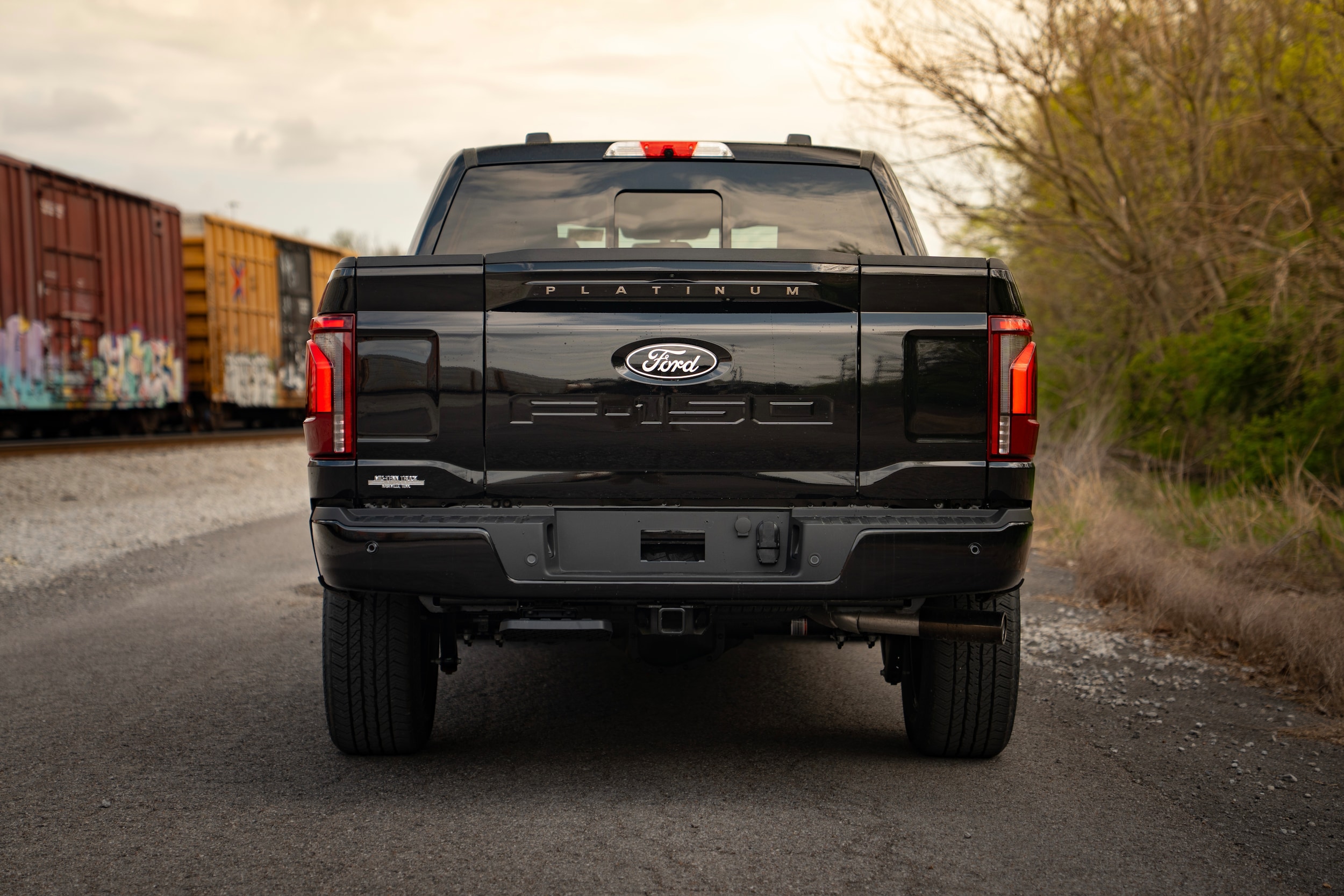 2025 Ford F-150 Platinum - Photo 6