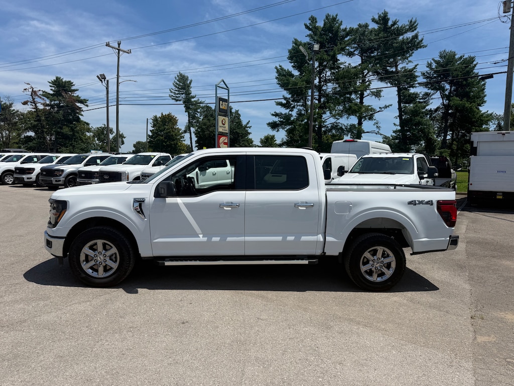 Certified 2025 Ford F-150 XLT Truck