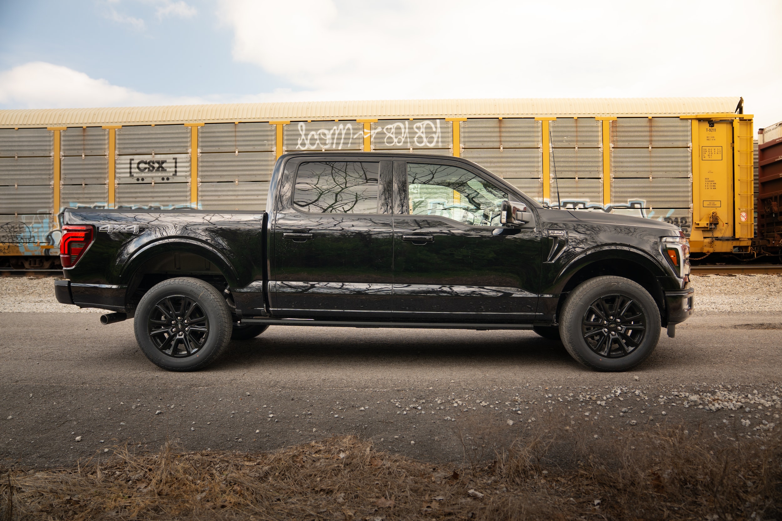 2025 Ford F-150 Platinum - Photo 8