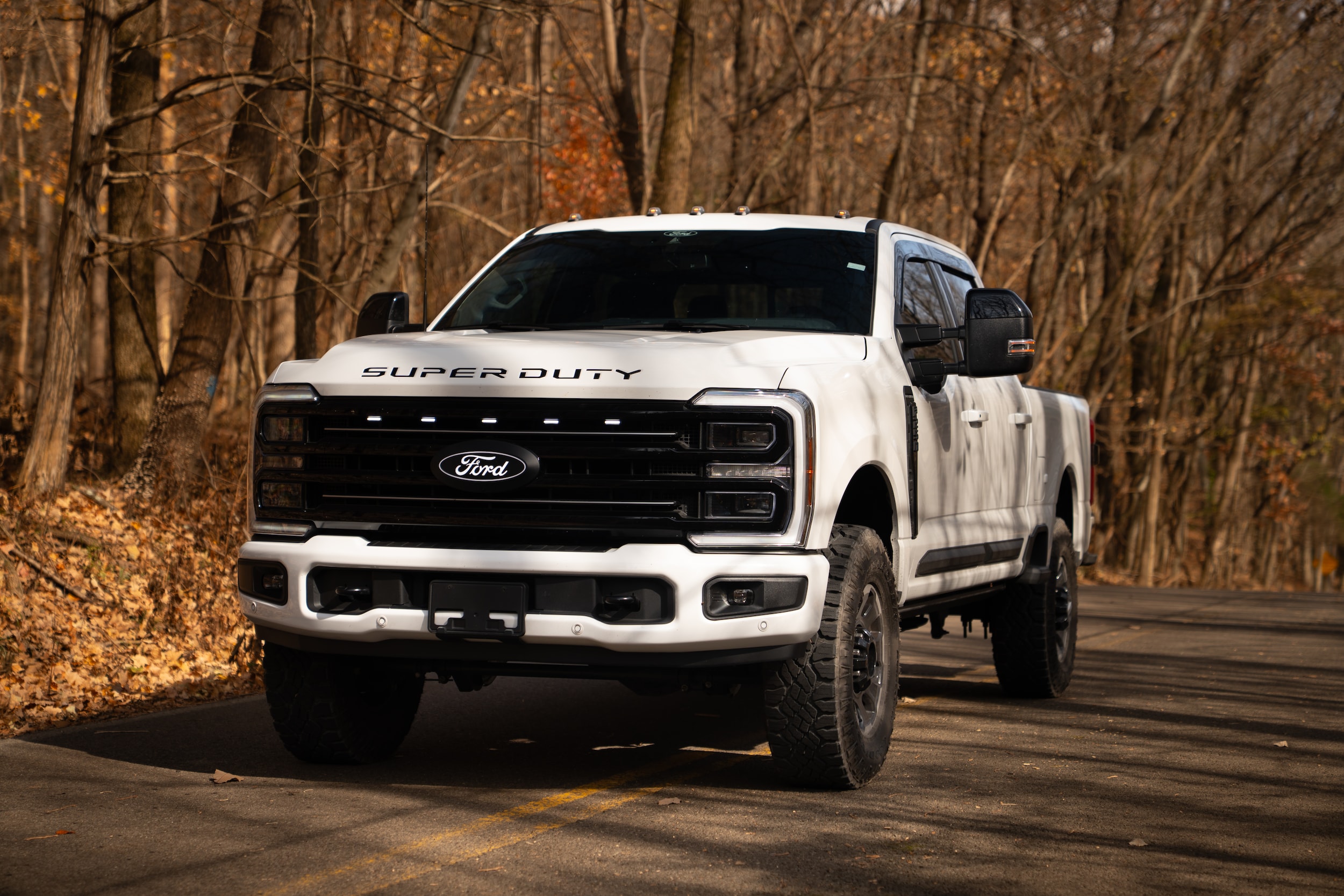 2025 Ford F-250 Super Duty Platinum's photo