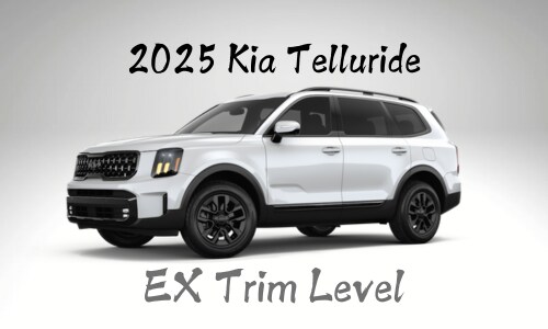 2025_Kia_Telluride_EX_Trim_Level.png