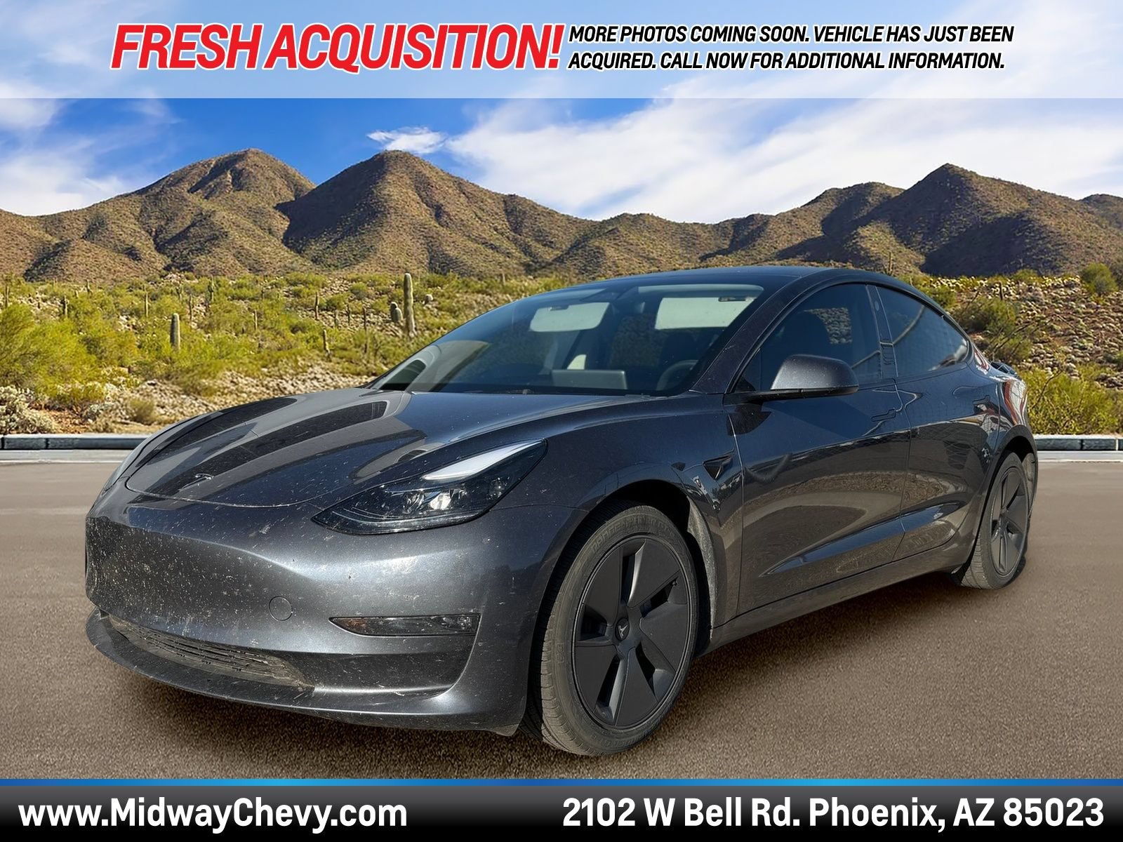 2023 Tesla Model 3 Long Range's photo