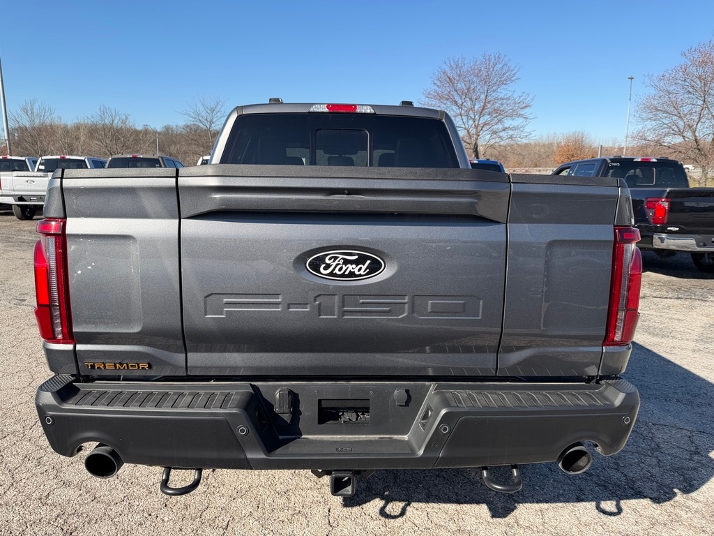 2025 Ford F-150 Tremor - Photo 10