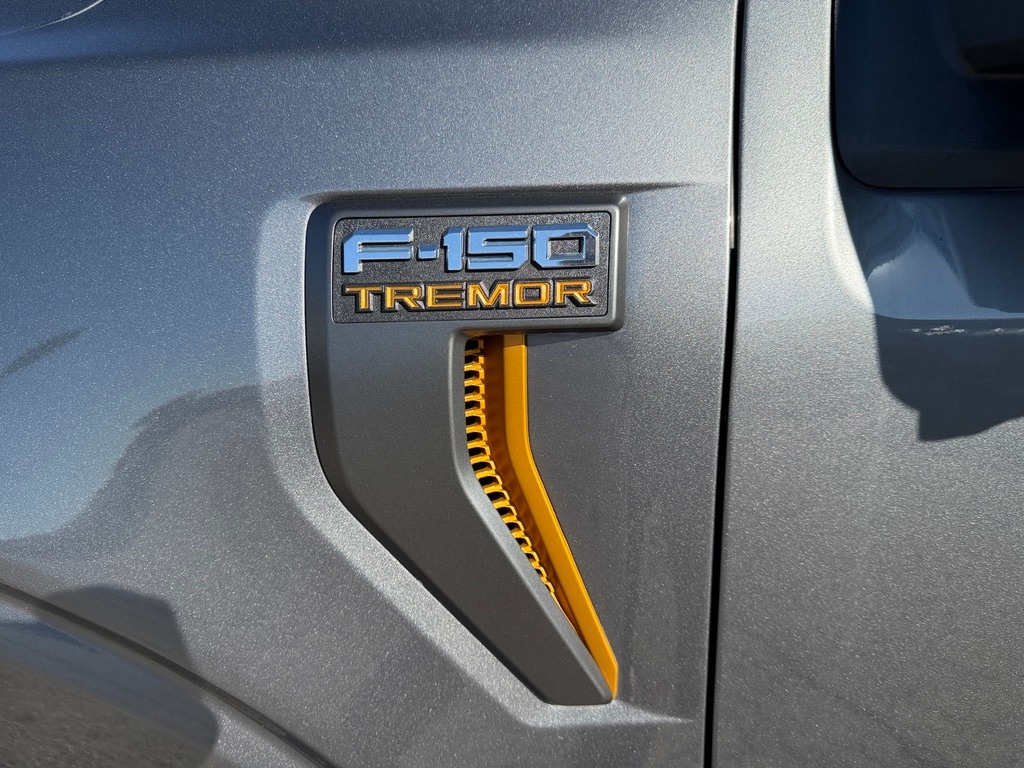 2025 Ford F-150 Tremor - Photo 9