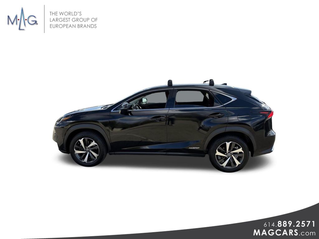 2019 Lexus NX 300h Luxury photo 4
