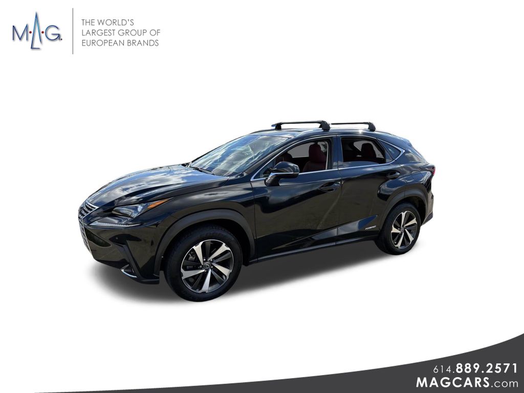 2019 Lexus NX 300h Luxury photo 3