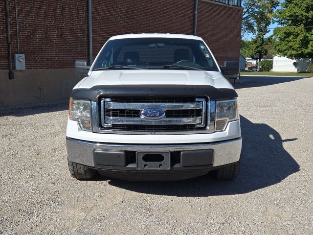2014 Ford F-150 XL photo 3